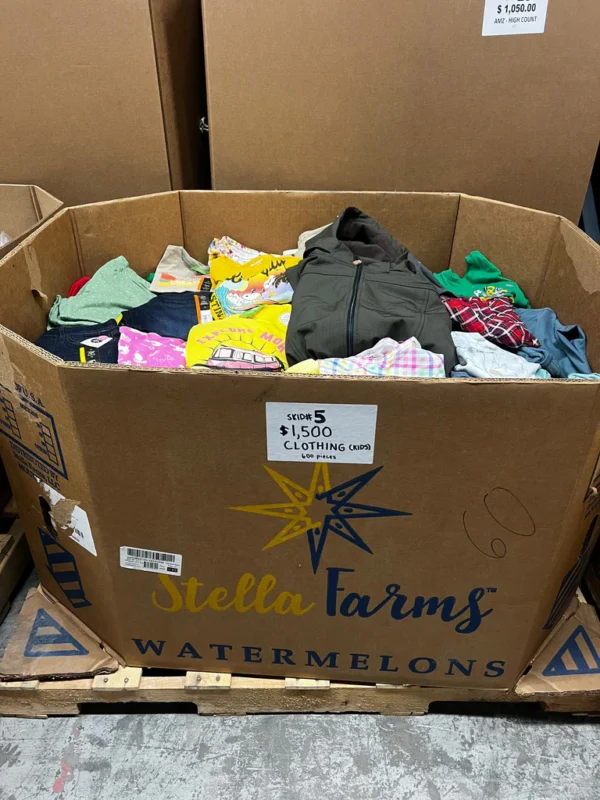 clothing-pallet-5-clothing-pallet-5-liquidationdeals-ca-1125514152_1024x1024 Clothing Pallet 600+ Pieces (Kids Clothing)