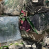 clothing-pallet-mixed-retailers-29-clothing-pallet-mixed-retailers-29-liquidationdeals-ca-1152531412_1024x1024 Clothing Pallet Mixed Retailers Liquidation